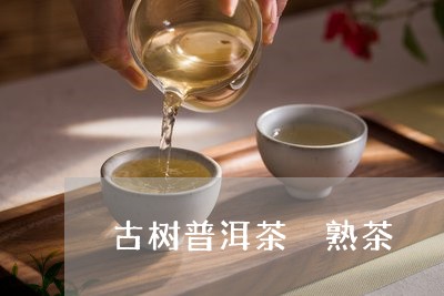 古树普洱茶 熟茶/2023041161837